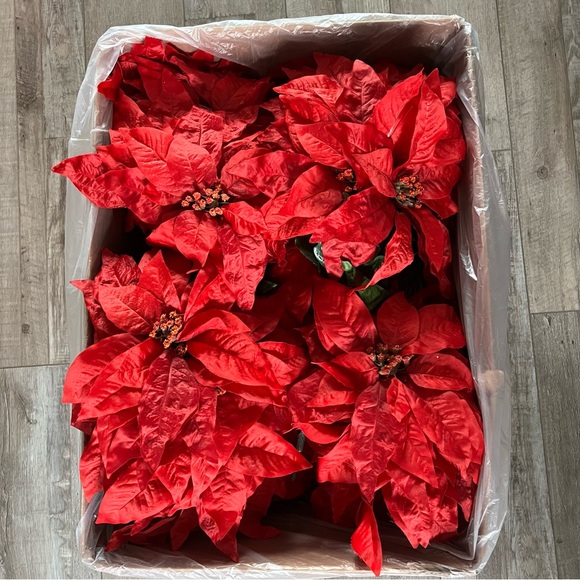 16 NEW Poinsettia Bundles - Picture 2 of 8